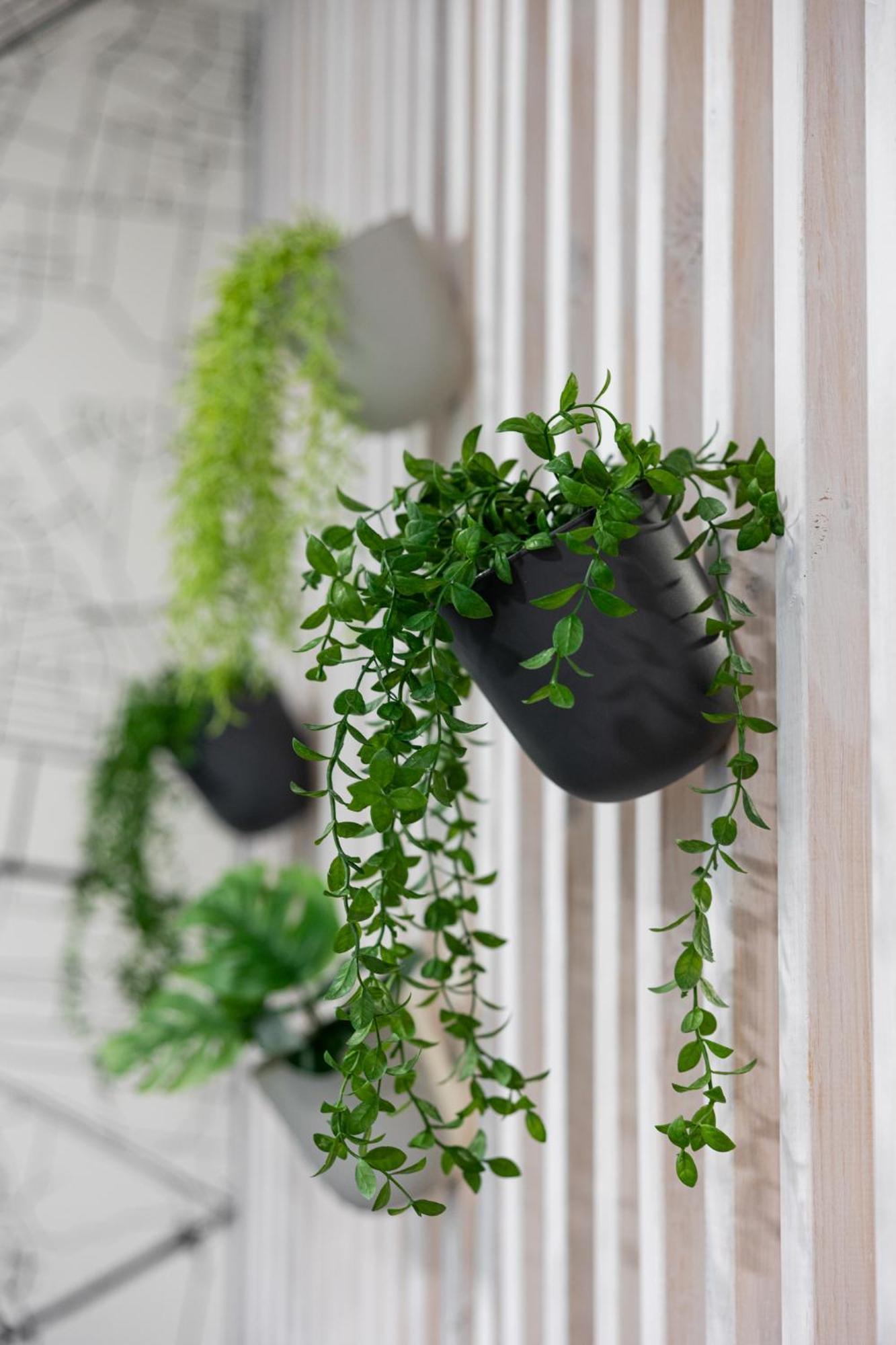 Apartament Sekwoja Rent - Malmeda 15 Białystok Zewnętrze zdjęcie